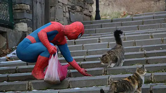 'Örümcek Adam' sokak hayvanlarının kahramanı oldu, görenler şaşkınlığını gizleyemedi