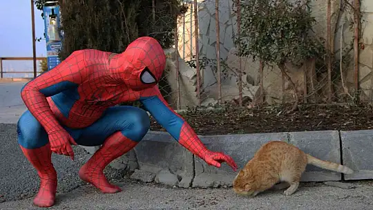 'Örümcek Adam' sokak hayvanlarının kahramanı oldu, görenler şaşkınlığını gizleyemedi