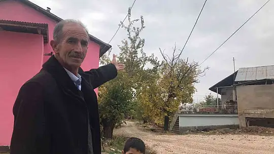 Ağaçların arasında kalan elektrik telleri tehlike saçıyor, vatandaşlar çözüm bekliyor