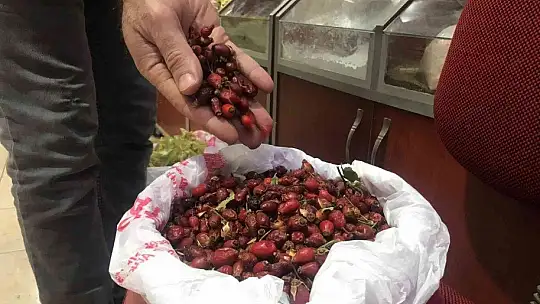 Akdeniz'deki yangınlar bitki çaylarının fiyatını artırdı