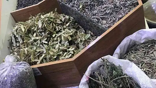 Akdeniz'deki yangınlar bitki çaylarının fiyatını artırdı