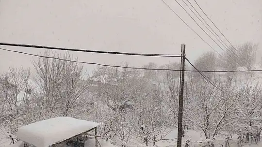 Arıcak kara teslim oldu