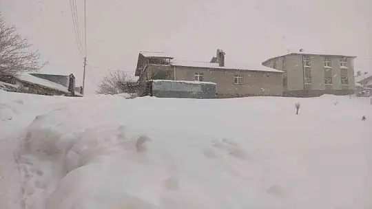 Arıcak kara teslim oldu