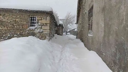 Arıcak kara teslim oldu