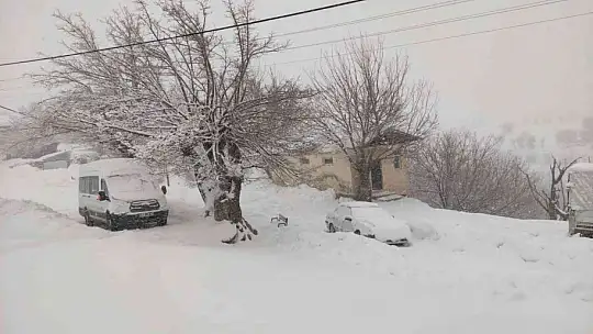 Arıcak kara teslim oldu