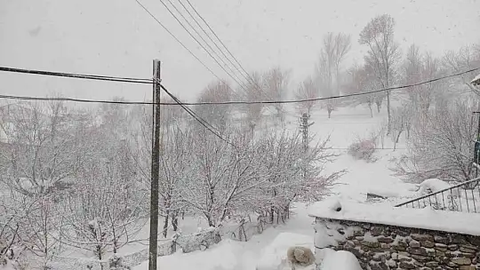 Arıcak kara teslim oldu