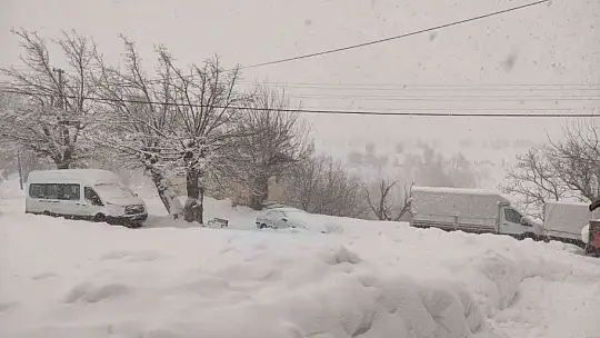 Arıcak kara teslim oldu