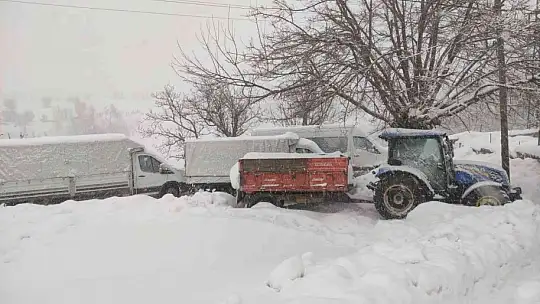 Arıcak kara teslim oldu
