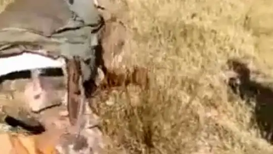 Avcılar elleriyle yakaladığı tavşanı geri doğaya saldı
