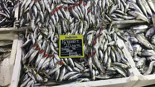 Balığa rağbet arttı