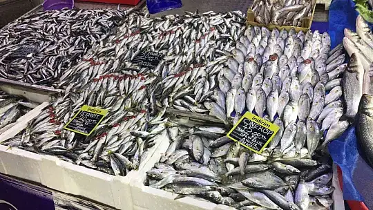 Balığa rağbet arttı