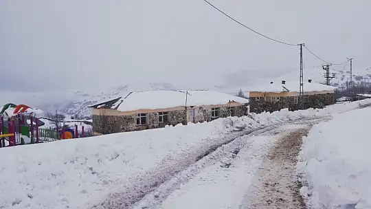 Çoban kar altında türkü söyledi, koyunlar pürdikkat dinledi