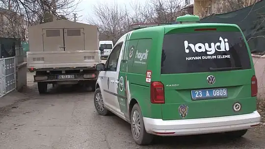 Çocuk parkında pitbull gezdiriyordu, cezayı duyunca kendi elleri ile teslim etti