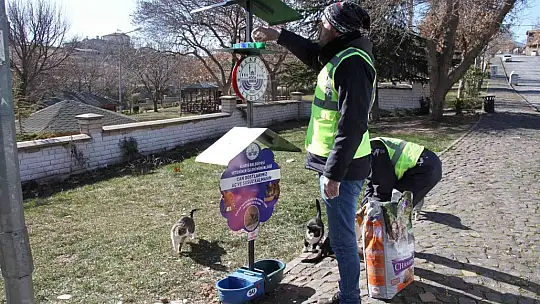 Cumhurbaşkanı Erdoğan işaret etti, Elazığ Belediyesi hemen yerine getirdi