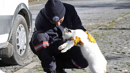 Cumhurbaşkanı Erdoğan işaret etti, Elazığ Belediyesi hemen yerine getirdi