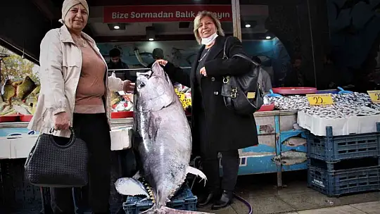 Dev orkinos görenleri hayretler içinde bıraktı