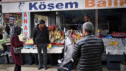 Dev orkinos görenleri hayretler içinde bıraktı