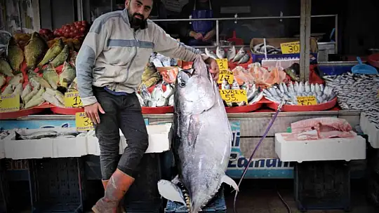 Dev orkinos görenleri hayretler içinde bıraktı