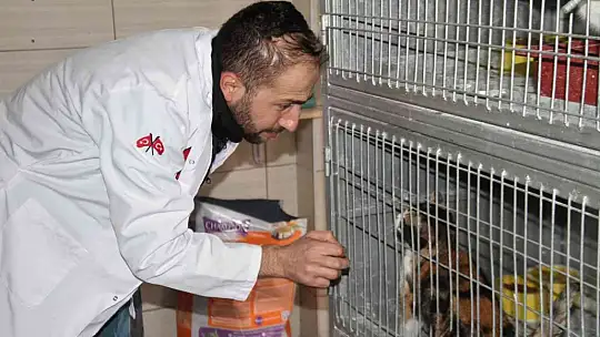 Elazığ Belediyesi Hayvan Hastanesi ve Bakım Evinde 5 binin üzerinde hayvan tedavi edildi