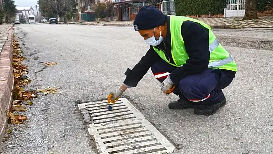 Elazığ Belediyesi larvalara karşı kış mücadelesine devam ediyor
