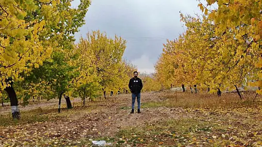 Elazığ'da 'altın yaprakların' sonbahar güzelliği