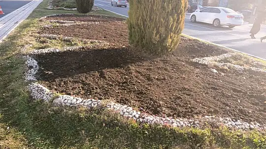 Elazığ'da 107 bin çiçek toprakla buluştu