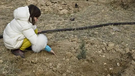 Elazığ'da 12 bin fidan toprakla buluştu