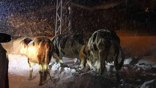 Elazığ İl Özel İdaresinden yoğun kar mesaisi