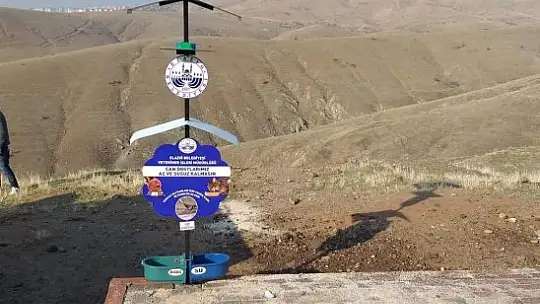 Elazığ'da 90 parka, sokak hayvanları için su ve mama kapları bırakıldı