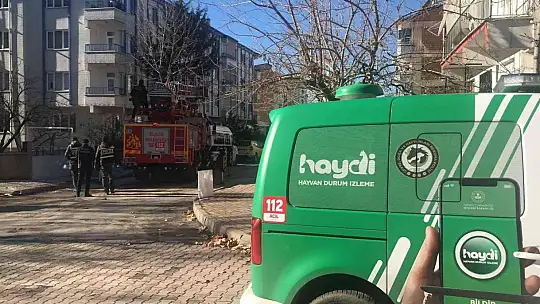 Elazığ'da çatıda mahsur kalan kedi için HAYDİ ve itfaiye ekipleri seferber oldu
