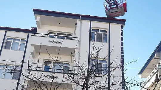 Elazığ'da çatıda mahsur kalan kedi için HAYDİ ve itfaiye ekipleri seferber oldu