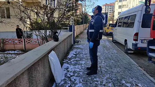 Elazığ'da çatıda mahsur kalan kedi için HAYDİ ve itfaiye ekipleri seferber oldu