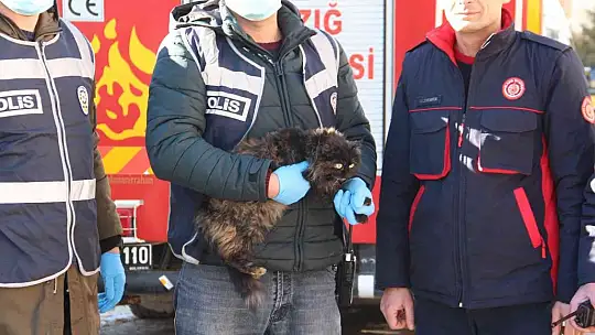 Elazığ'da çatıda mahsur kalan kedi için HAYDİ ve itfaiye ekipleri seferber oldu