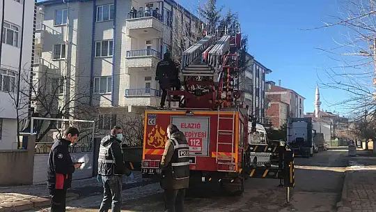 Elazığ'da çatıda mahsur kalan kedi için HAYDİ ve itfaiye ekipleri seferber oldu