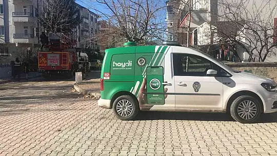 Elazığ'da çatıda mahsur kalan kedi için HAYDİ ve itfaiye ekipleri seferber oldu
