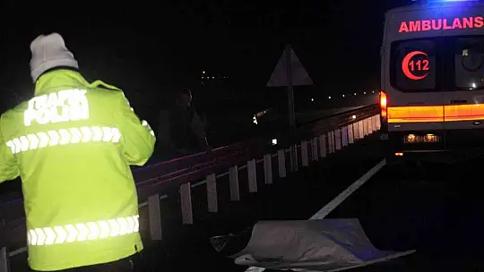 Elazığ'da feci kaza: Transitin çarptığı 2 kişi hayatını kaybetti