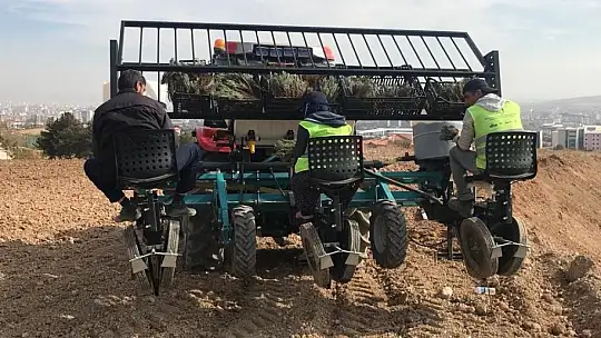 Elazığ'da İpek Yolu Gençlik Merkezi gönüllülerinden lavanta parkı