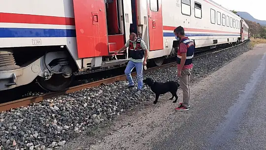 Elazığ'da jandarma ekipleri bir yılda 611 operasyon düzenledi: 670 şüpheli yakalandı