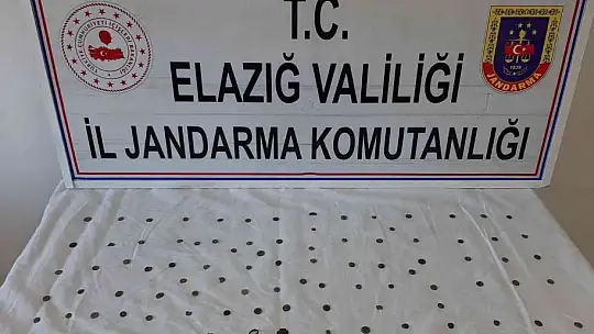 Elazığ'da jandarma ekipleri bir yılda 611 operasyon düzenledi: 670 şüpheli yakalandı