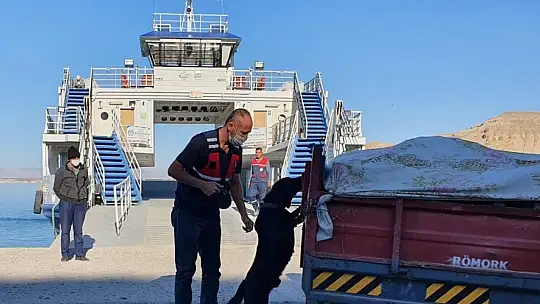 Elazığ'da jandarma ekipleri bir yılda 611 operasyon düzenledi: 670 şüpheli yakalandı