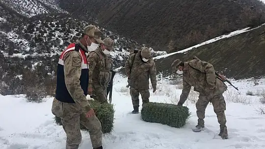 Elazığ'da jandarma, yaban hayatı için doğaya yem bıraktı