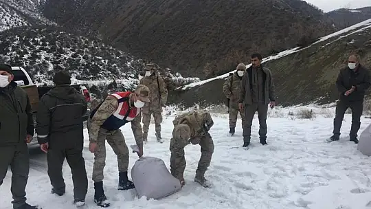 Elazığ'da jandarma, yaban hayatı için doğaya yem bıraktı