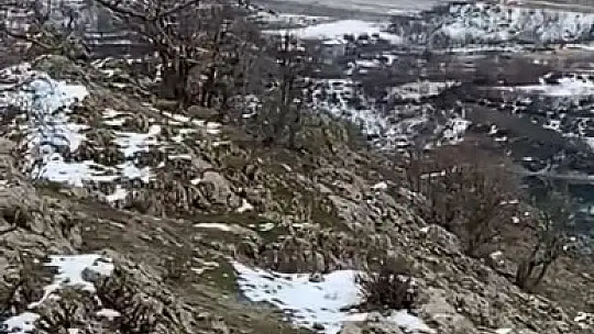 Elazığ'da jandarma, yaban hayatı için doğaya yem bıraktı