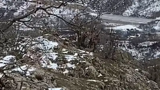 Elazığ'da jandarma, yaban hayatı için doğaya yem bıraktı