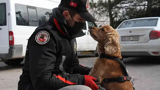 Elazığ'da uyuşturucu tacirlerinin korkulu rüyaları: Alex ve Nina