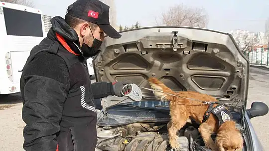Elazığ'da uyuşturucu tacirlerinin korkulu rüyaları: Alex ve Nina