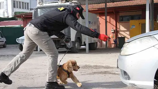 Elazığ'da uyuşturucu tacirlerinin korkulu rüyaları: Alex ve Nina