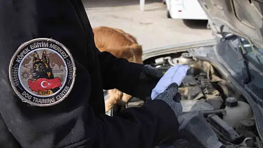 Elazığ'da uyuşturucu tacirlerinin korkulu rüyaları: Alex ve Nina