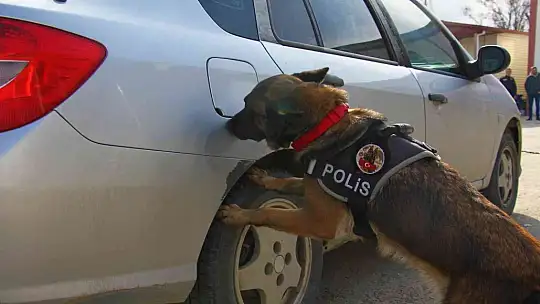 Elazığ'da uyuşturucu tacirlerinin korkulu rüyaları: Alex ve Nina