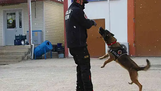 Elazığ'da uyuşturucu tacirlerinin korkulu rüyaları: Alex ve Nina